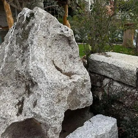 De Standing Avec Jacuzzi Exterieur Zonza