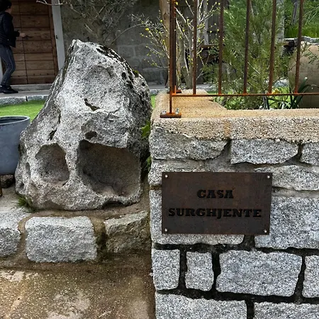 De Standing Avec Jacuzzi Exterieur * Zonza