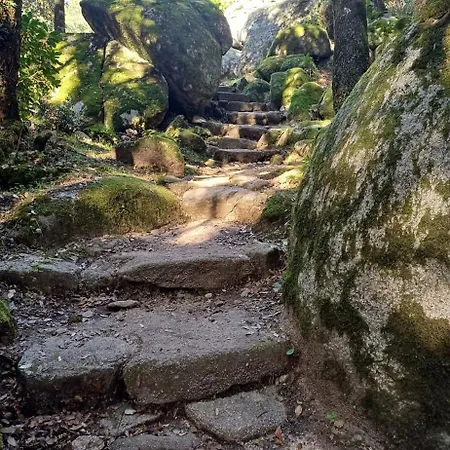 De Standing Avec Jacuzzi Exterieur