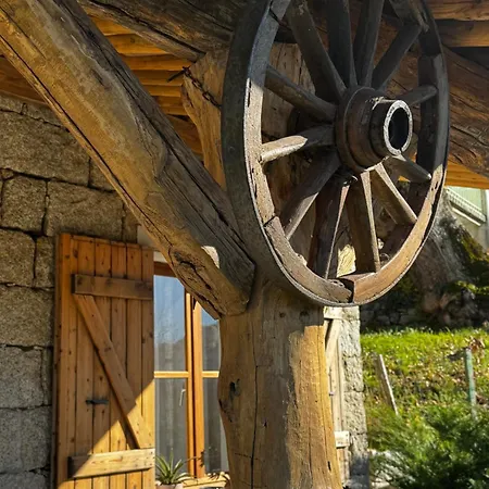 De Standing Avec Jacuzzi Exterieur Appartement Zonza