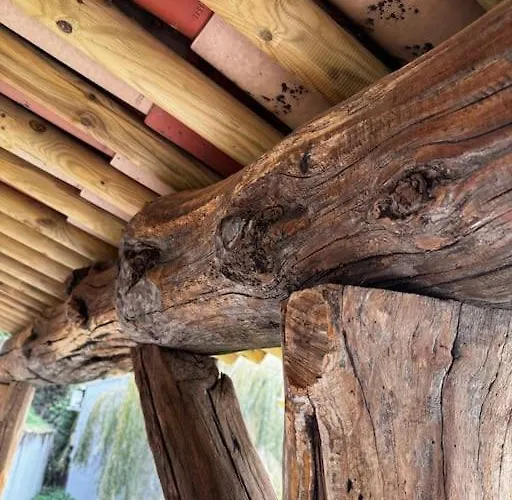 Appartement De Standing Avec Jacuzzi Exterieur